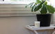 Maldon Cosy Garden Cottage - Charming One Room Studio - thumb 3