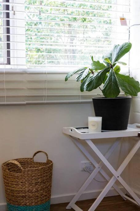 Maldon Cosy Garden Cottage - Charming One Room Studio - Accommodation Port Macquarie 3