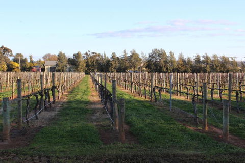 Milawa Vineyard Views - Guesthouse 1 - Accommodation Port Macquarie 2