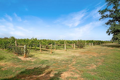 Milawa Vineyard Views - Guesthouse 2 - Accommodation Port Macquarie 0
