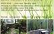 Mistinthegumtrees Eco Luxury Cabins - thumb 2
