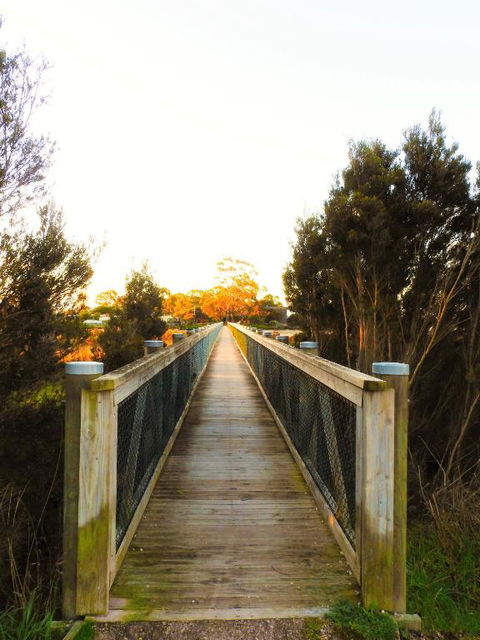 Moomba Holiday And Caravan Park - Accommodation Port Macquarie 3