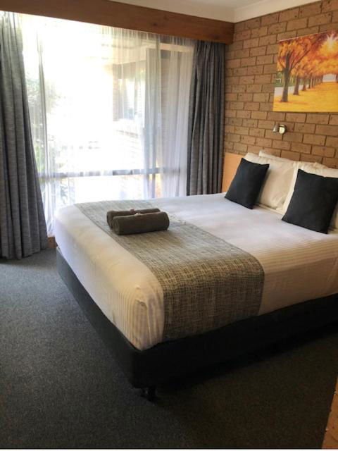 Muswellbrook Motor Inn - Accommodation Port Macquarie 2