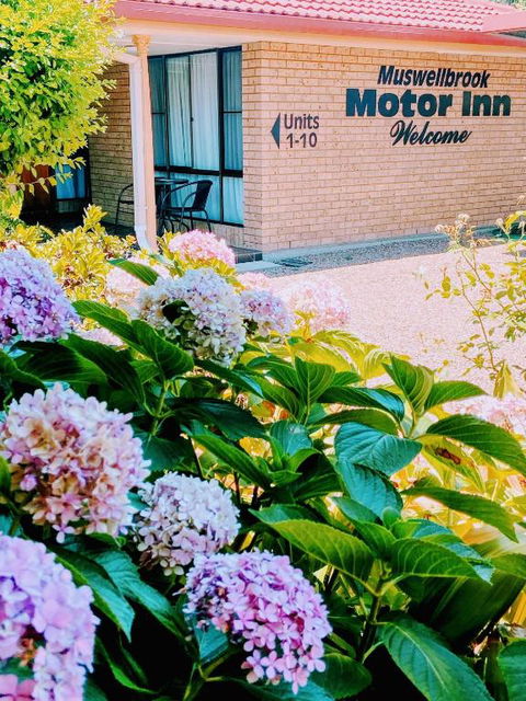 Muswellbrook Motor Inn - Accommodation Port Macquarie 0