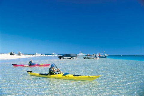 Ningaloo Club Backpackers - Accommodation Port Macquarie 2