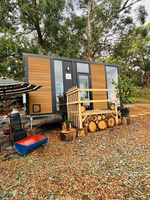 Orange 2 By Tiny Away - Accommodation Port Macquarie 2
