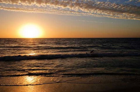 Ocean View Motel - Accommodation Port Macquarie 0