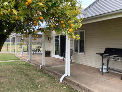 Orange Tree Cottage - Accommodation Port Macquarie 0