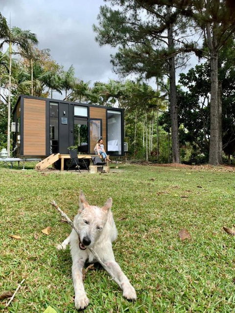Piyar Tiny Haven By Tiny Away - Accommodation Port Macquarie 0