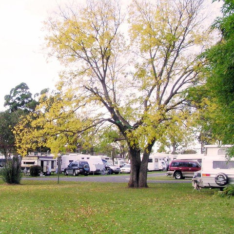 Poplar Tourist Park - Accommodation Port Macquarie 2
