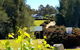 Red Door Collective - RDC Vineyard Estate, Luxury Adult Only Stay - thumb 0