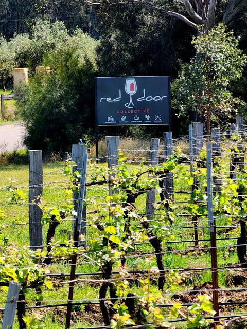 Red Door Collective - RDC Vineyard Estate, Luxury Adult Only Stay - Accommodation Port Macquarie 1