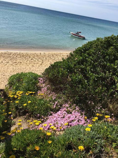 Quiet, Luxurious Guest House - Couples Retreat - Accommodation Port Macquarie 1