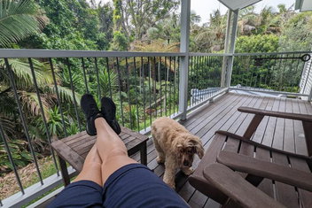 Rainforest Deluxe Bungalow with Accommodation Port Macquarie