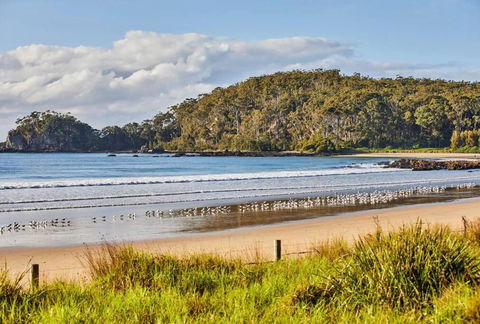 Rare Broulee Beachfront House - Accommodation Port Macquarie 3