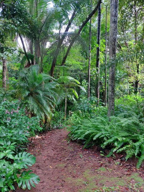 Rainforest Retreat-Fireplace-BBQ-3 Acres- - Accommodation Port Macquarie 0