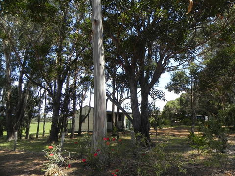 Augusta Chalet - Accommodation Port Macquarie 2
