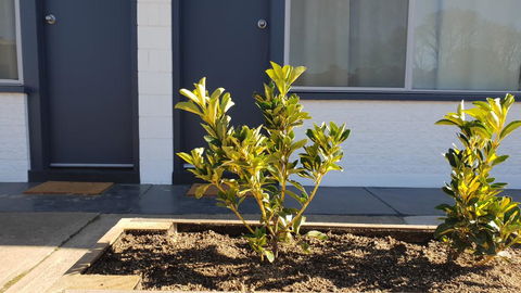 Australian Hotel Motel - Accommodation Port Macquarie 2