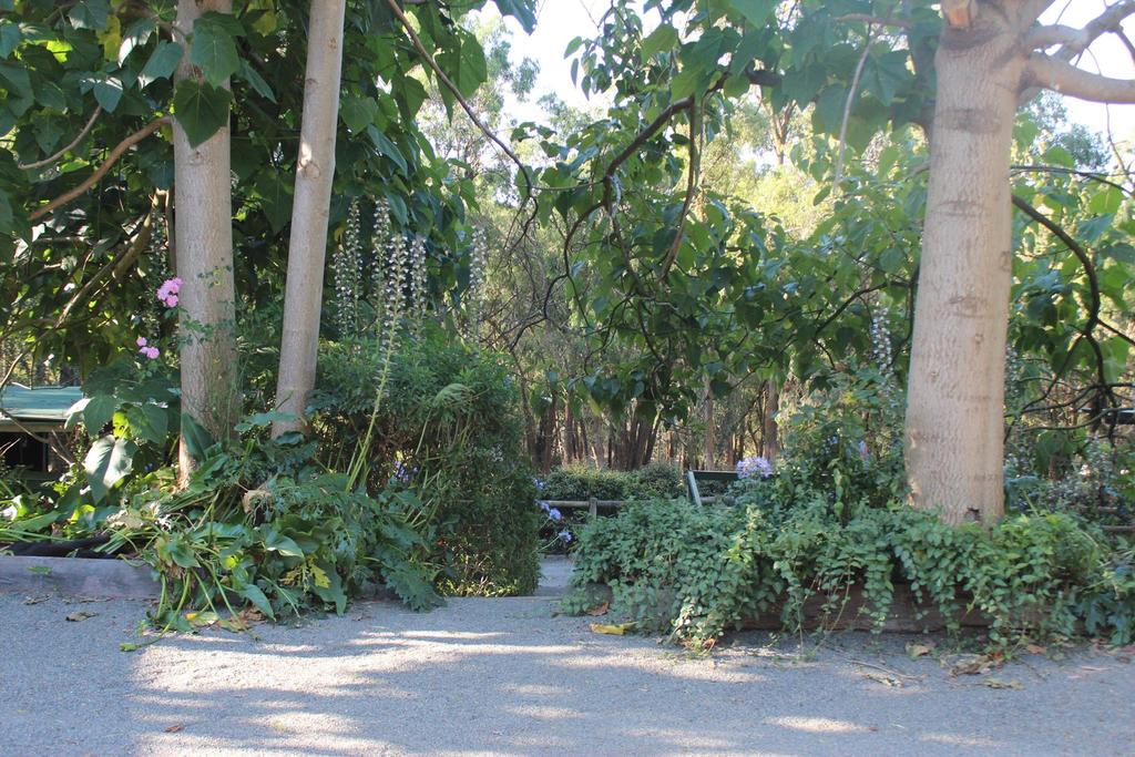 Avonsleigh VIC Accommodation Port Macquarie