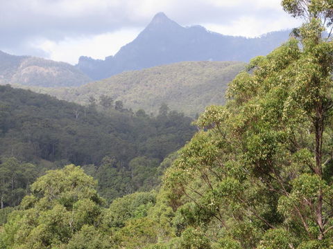 Babbling Brook Retreat - Accommodation Port Macquarie 2