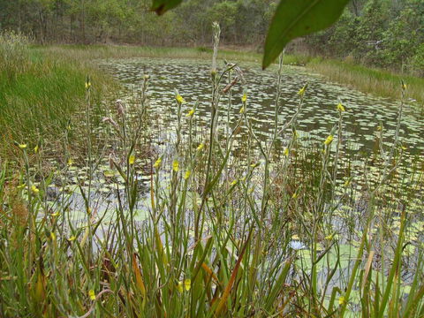 Back To The Bush - Accommodation Port Macquarie 3