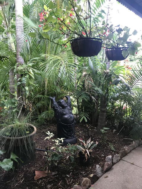 Bali Inspired Hideaway With Tropical Villa & Plunge Pool - Accommodation Port Macquarie 3