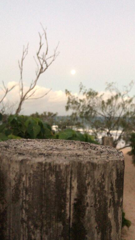 Barefootbeach Shack - Accommodation Port Macquarie 2