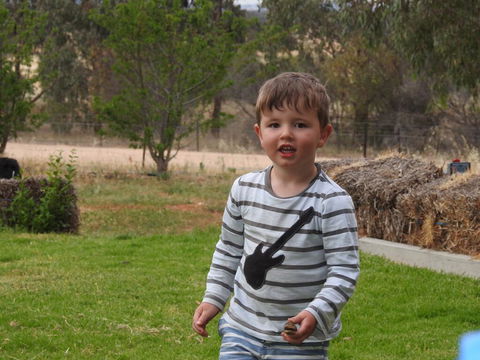 Barklysuites Apartments - Accommodation Port Macquarie 1