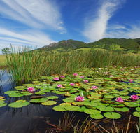 Barrington Hideaway- River Cottages - Accommodation Port Macquarie