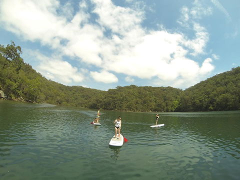 Basin Ku-ring-gai Campsite Set Up - Accommodation Port Macquarie 1