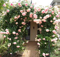 Baudins of Busselton Bed and Breakfast - Accommodation Port Macquarie