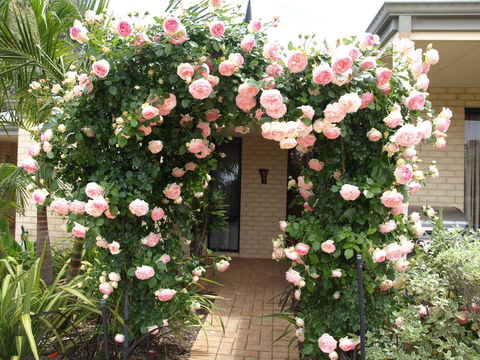 Baudins Of Busselton Bed And Breakfast - Accommodation Port Macquarie 0