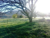 Book Dadswells Bridge Accommodation Vacations Accommodation Port Macquarie Accommodation Port Macquarie