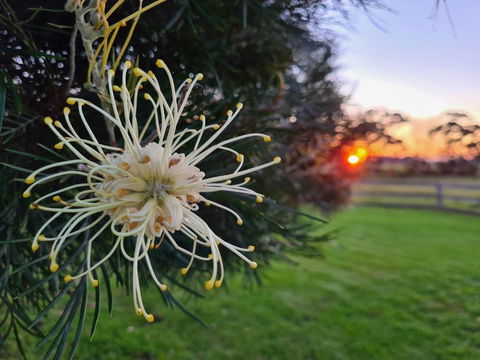 Redgate Forest Retreat - Accommodation Port Macquarie 1