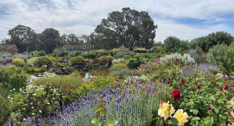 River Gardens Axedale Pet Friendly Farmstay B&B - Accommodation Port Macquarie 0