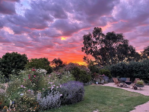 River Gardens Axedale Pet Friendly Farmstay B&B - Accommodation Port Macquarie 3