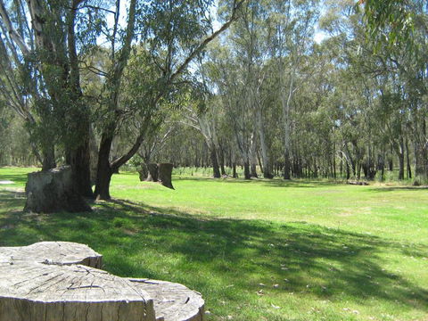 Rivergum Holiday Park - Accommodation Port Macquarie 2
