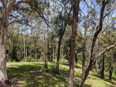 Romantic Cabin Escapes Barrington Tops - Lorikeet - Accommodation Port Macquarie 1