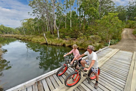 Saintys Creek Cottage - Accommodation Port Macquarie 2