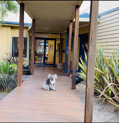 Sandpiper Motel Apollo Bay - Accommodation Port Macquarie 3