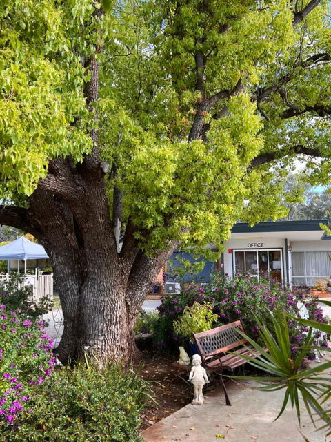 Sturt Motel Balranald - Accommodation Port Macquarie 1