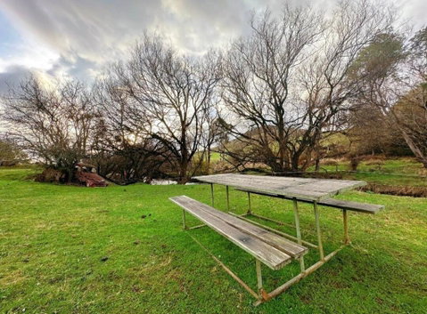 The Bushmill Cottage - Accommodation Port Macquarie 1