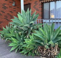 Beautiful Bedroom in Bentleigh East - Accommodation Port Macquarie