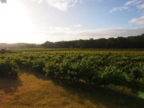 Bed & Breakfast At Tiffany's - Accommodation Port Macquarie 1