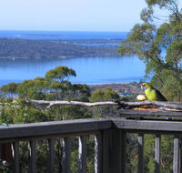 Bed in the Treetops BB - Accommodation Port Macquarie