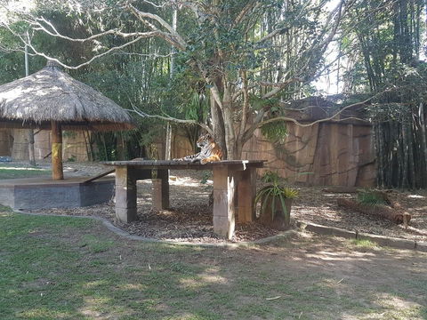 Beerwah House - Accommodation Port Macquarie 3