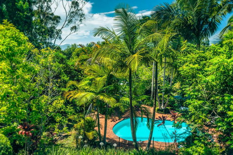 Bella Vista Bellingen - Accommodation Port Macquarie 1