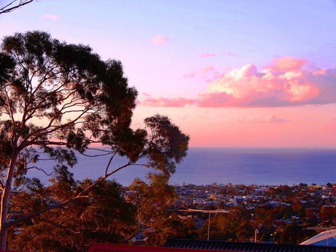 Bellevue - Accommodation Port Macquarie 0