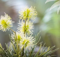 Bessou - Accommodation Port Macquarie