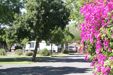 BIG 4 Hay - Accommodation Port Macquarie 0